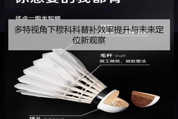 多特视角下穆科科替补效率提升与未来定位新观察